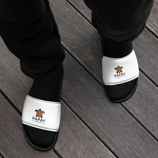 PAPAY slides